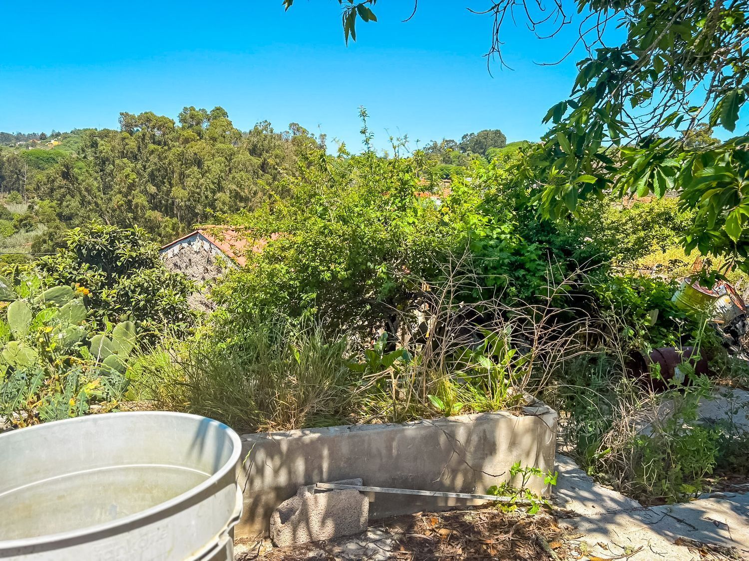 Fincas y solares-Venta-Valleseco-1904774-Foto-16