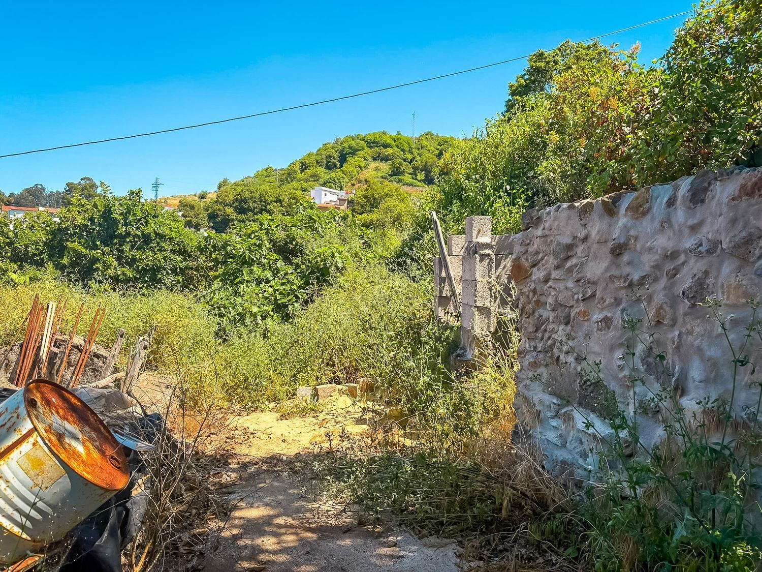 Fincas y solares-Venta-Valleseco-1904774-Foto-18