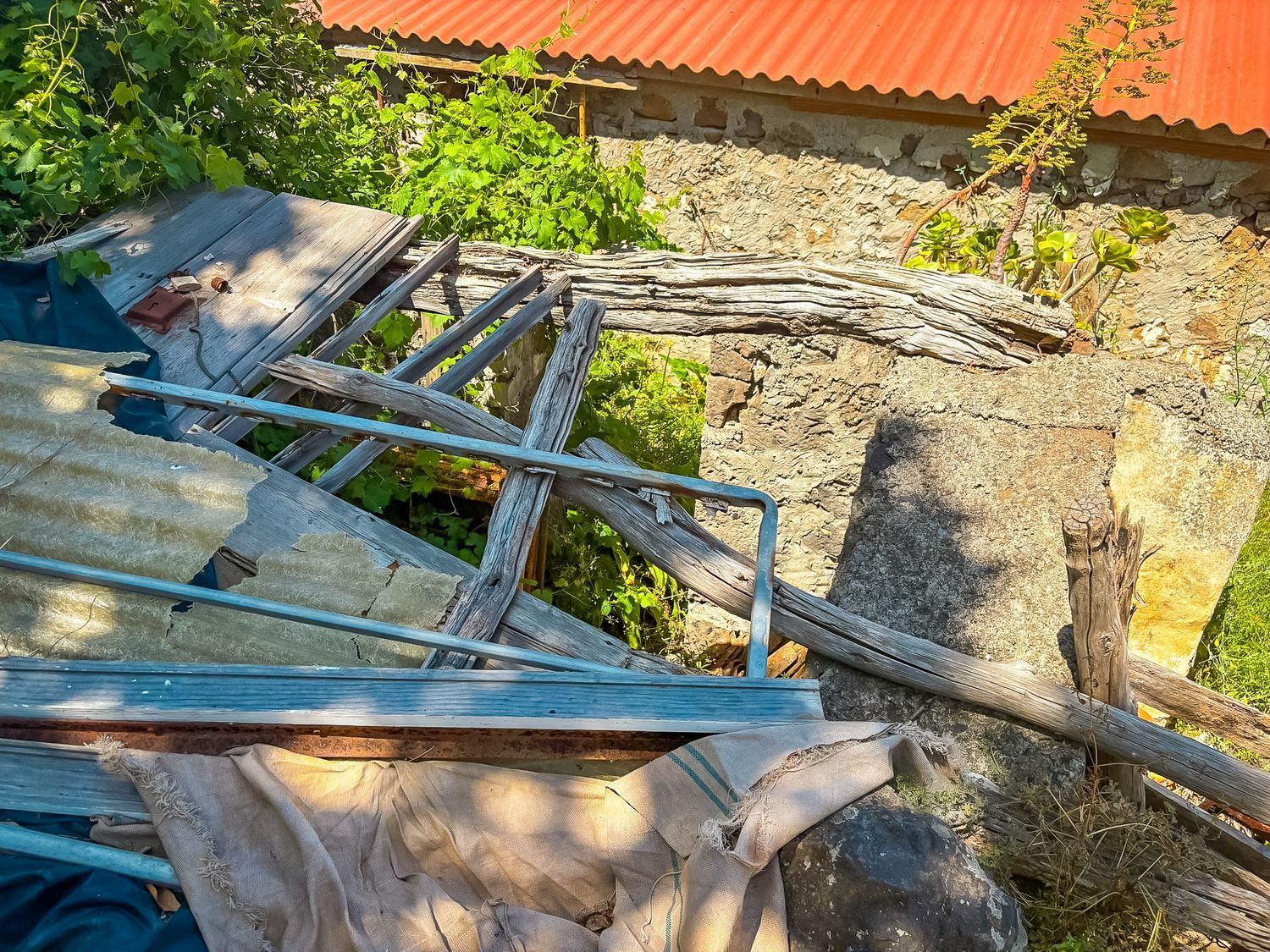 Fincas y solares-Venta-Valleseco-1904774-Foto-21