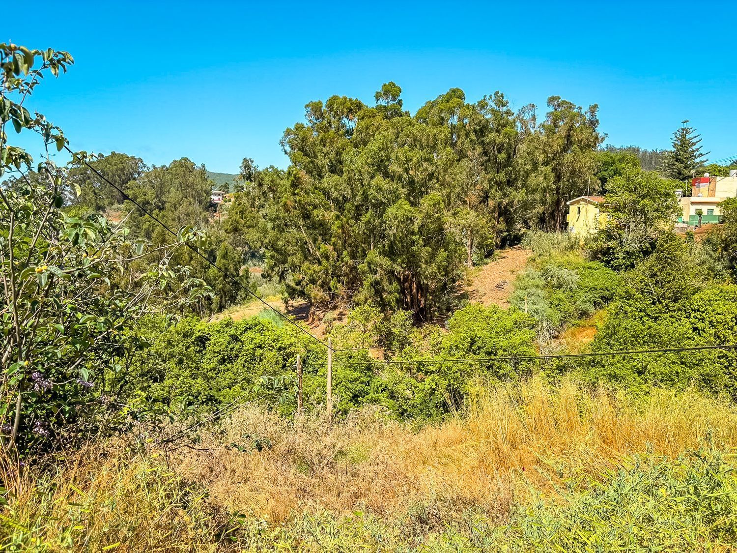 Fincas y solares-Venta-Valleseco-1904774-Foto-19