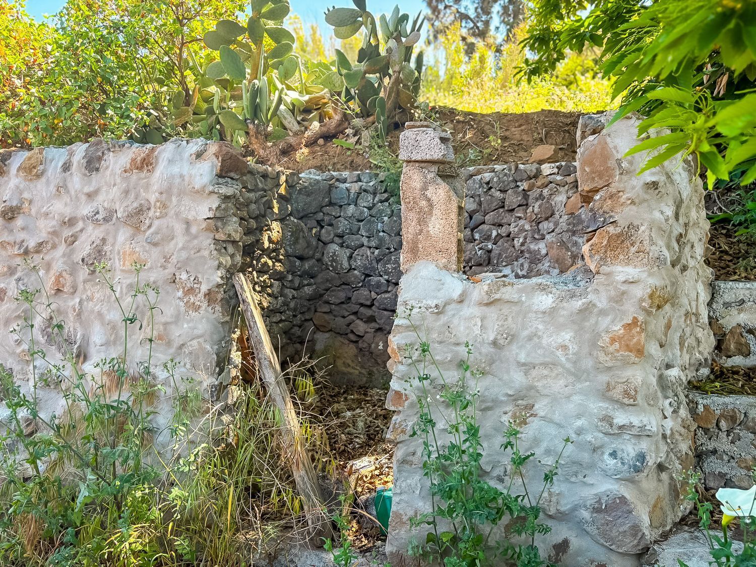 Fincas y solares-Venta-Valleseco-1904774-Foto-20