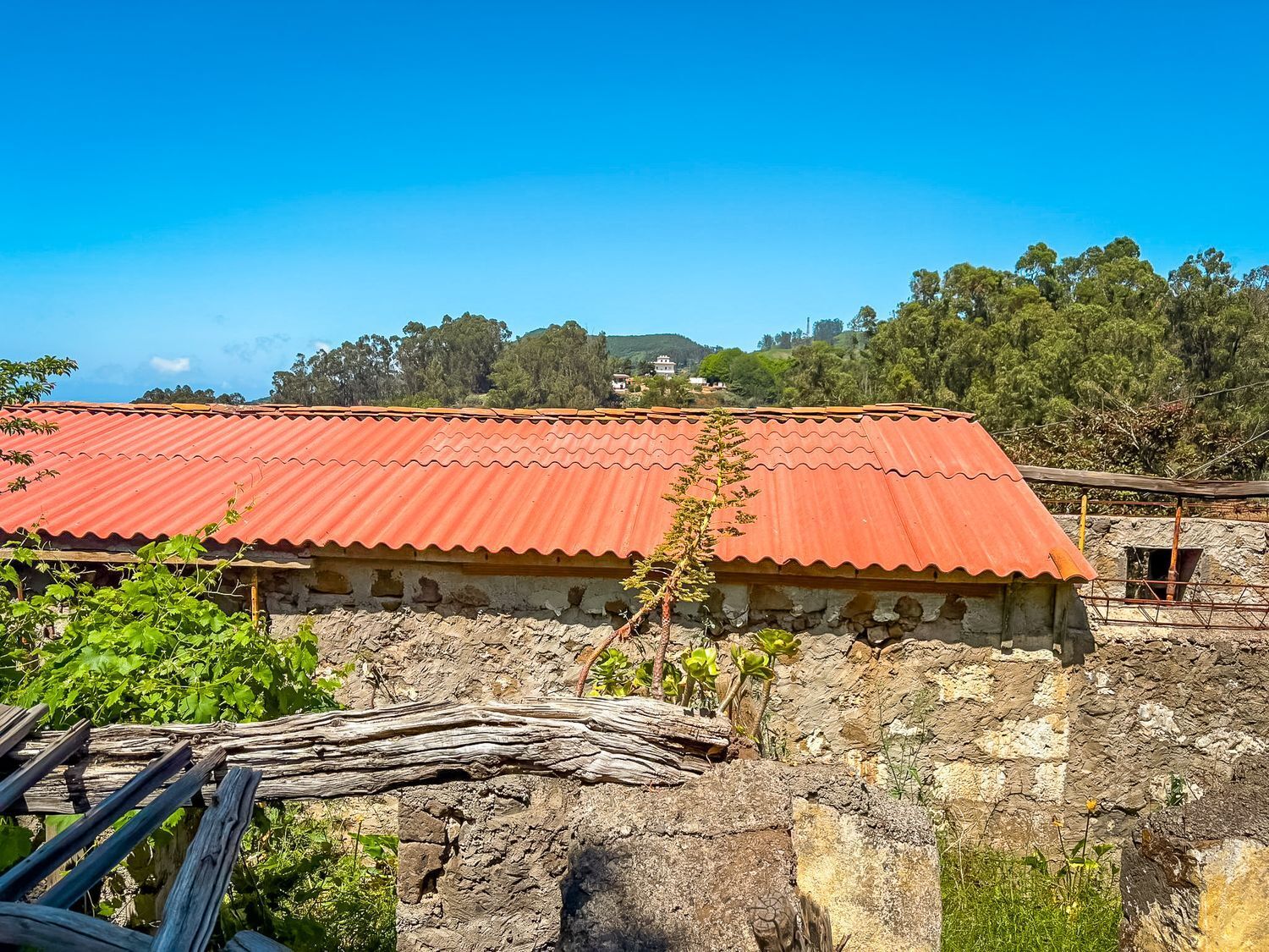 Fincas y solares-Venta-Valleseco-1904774-Foto-26