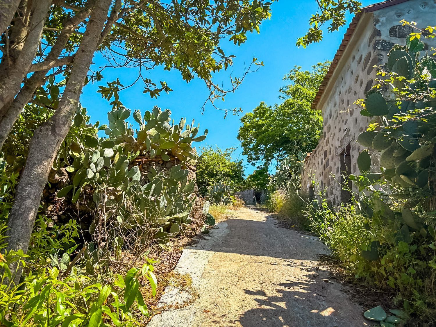 Fincas y solares-Venta-Valleseco-1904774-Foto-33