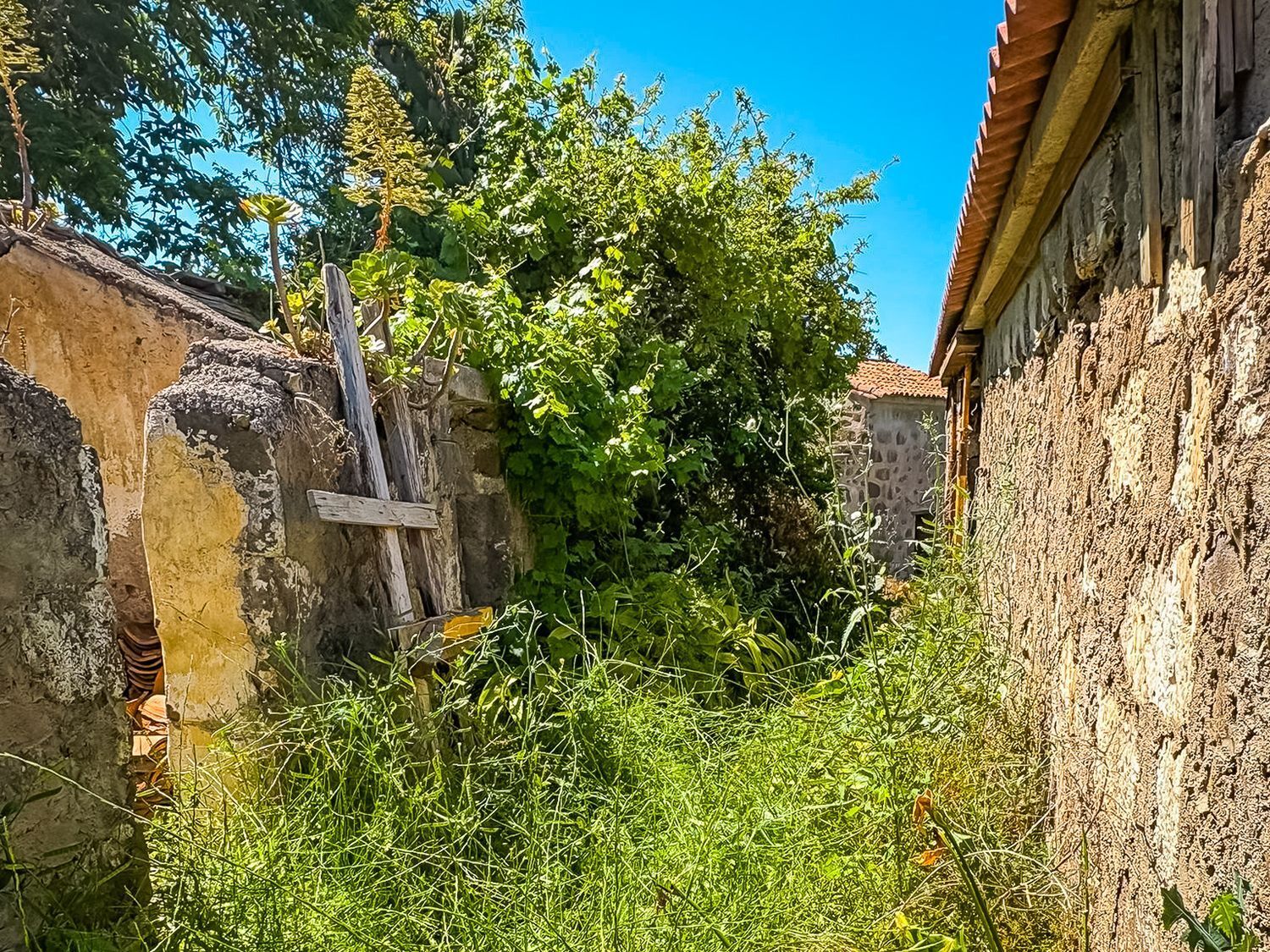 Fincas y solares-Venta-Valleseco-1904774-Foto-47