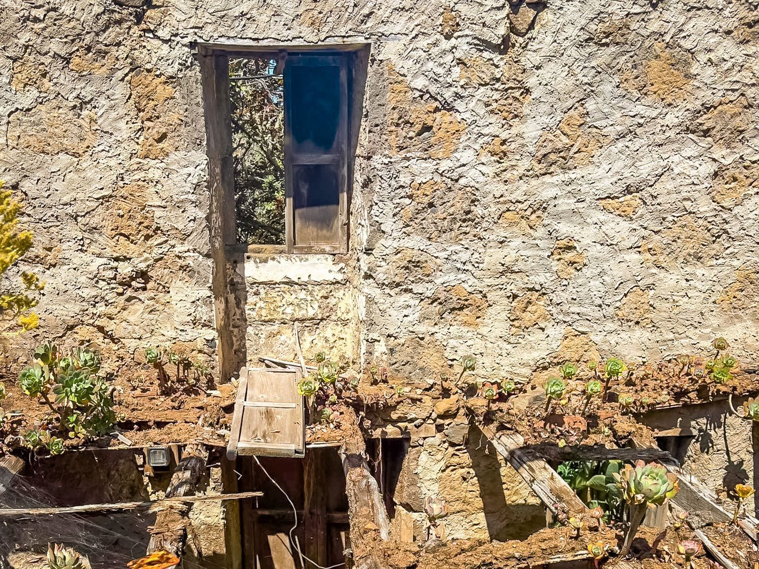 Fincas y solares-Venta-Valleseco-1904774-Foto-49