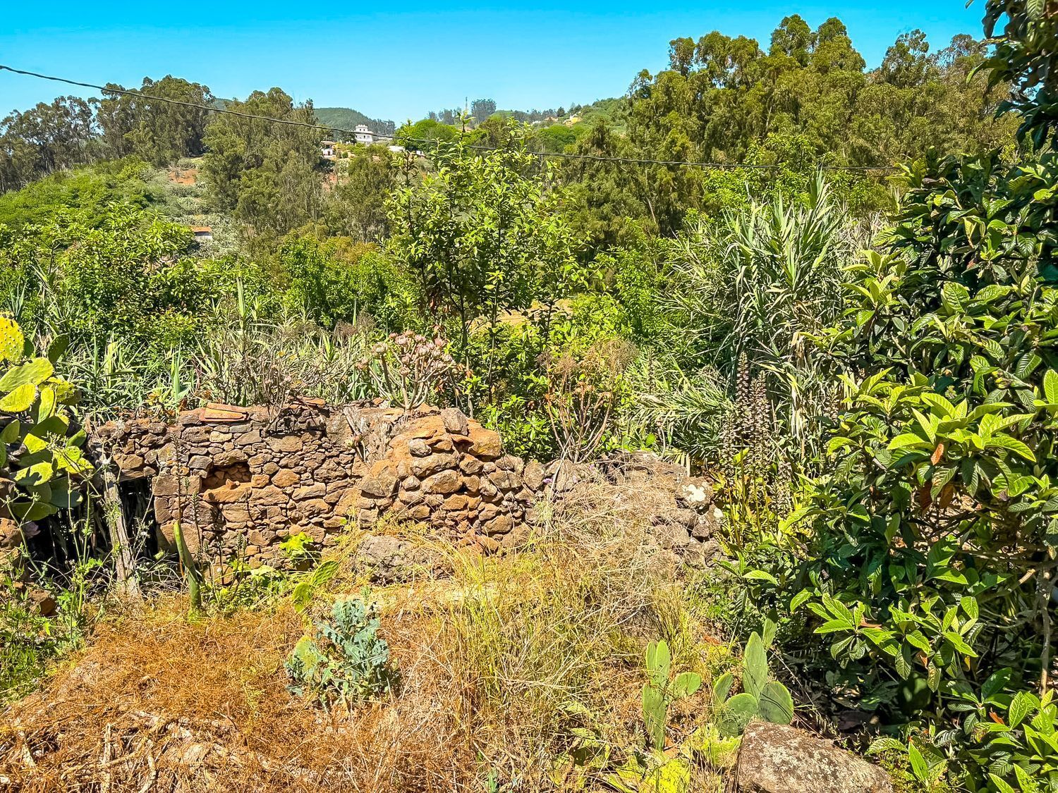 Fincas y solares-Venta-Valleseco-1904774-Foto-51