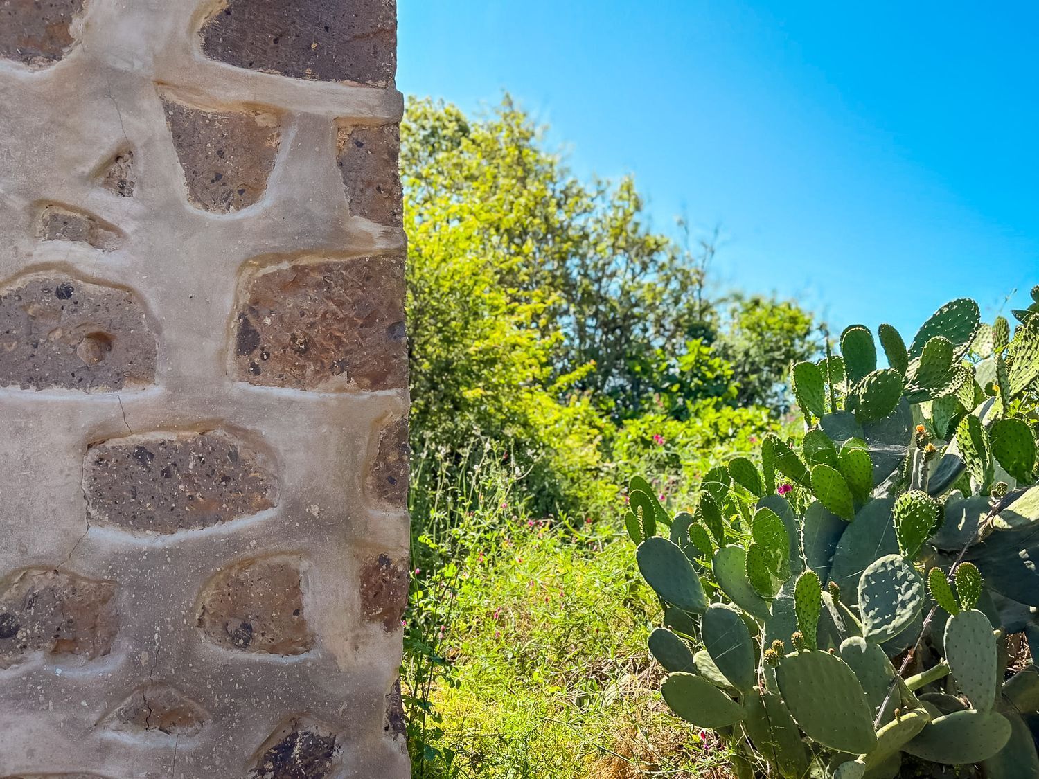 Fincas y solares-Venta-Valleseco-1904774-Foto-52