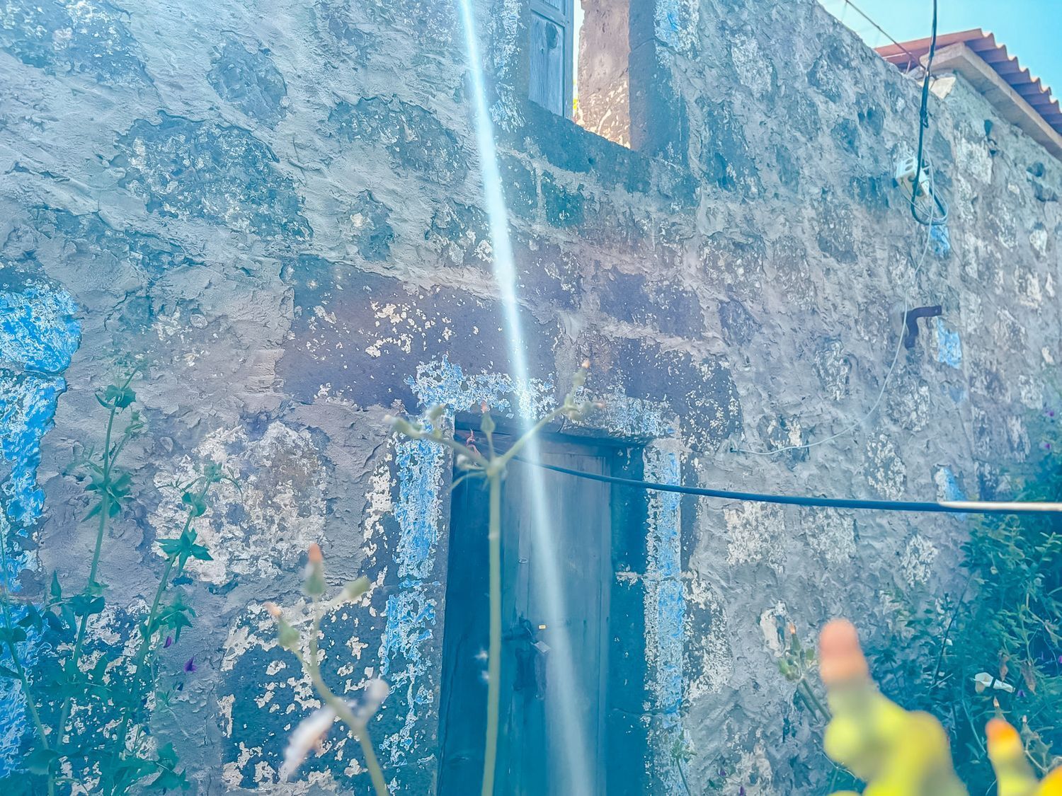 Fincas y solares-Venta-Valleseco-1904774-Foto-53