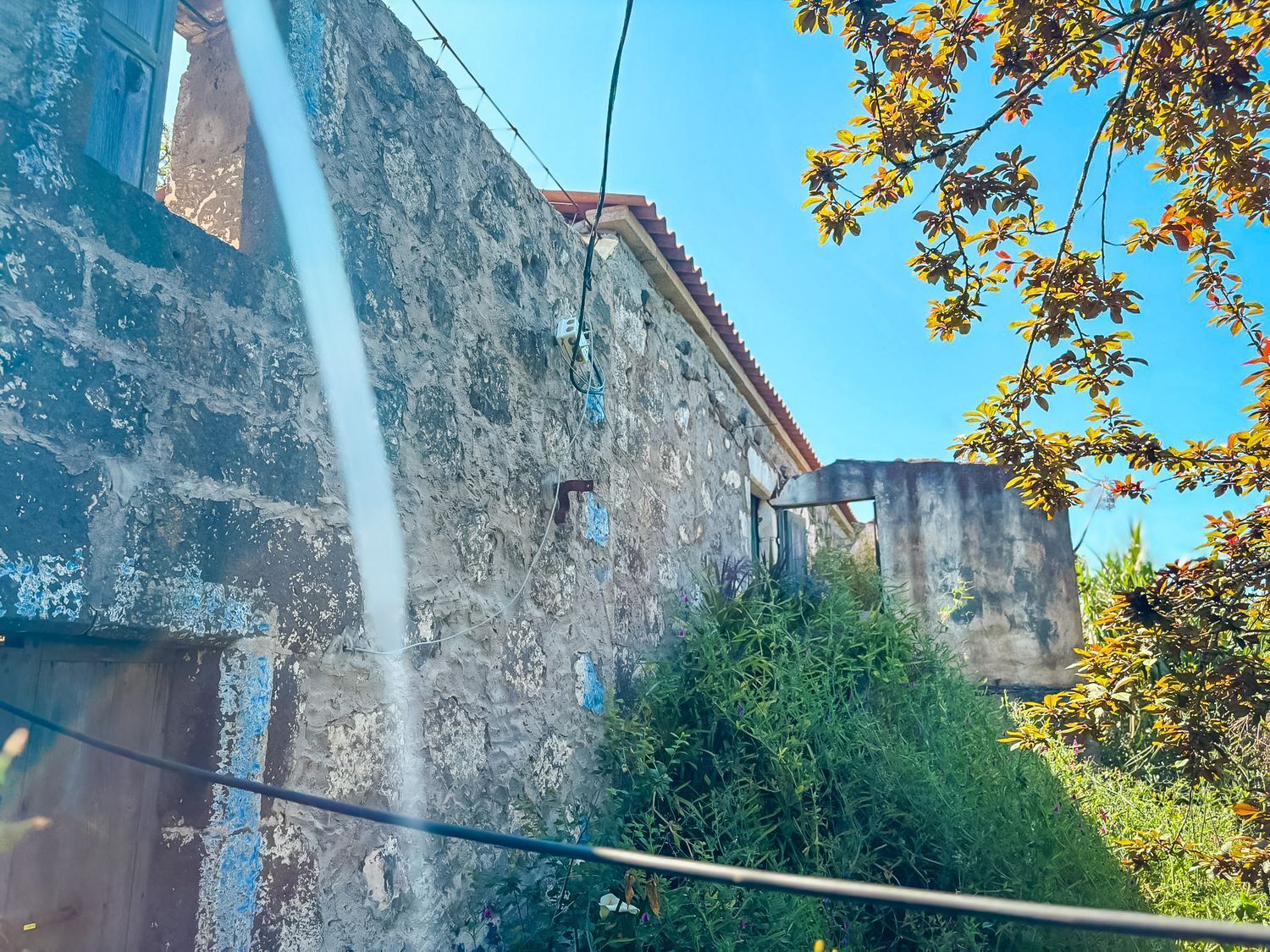 Fincas y solares-Venta-Valleseco-1904774-Foto-56