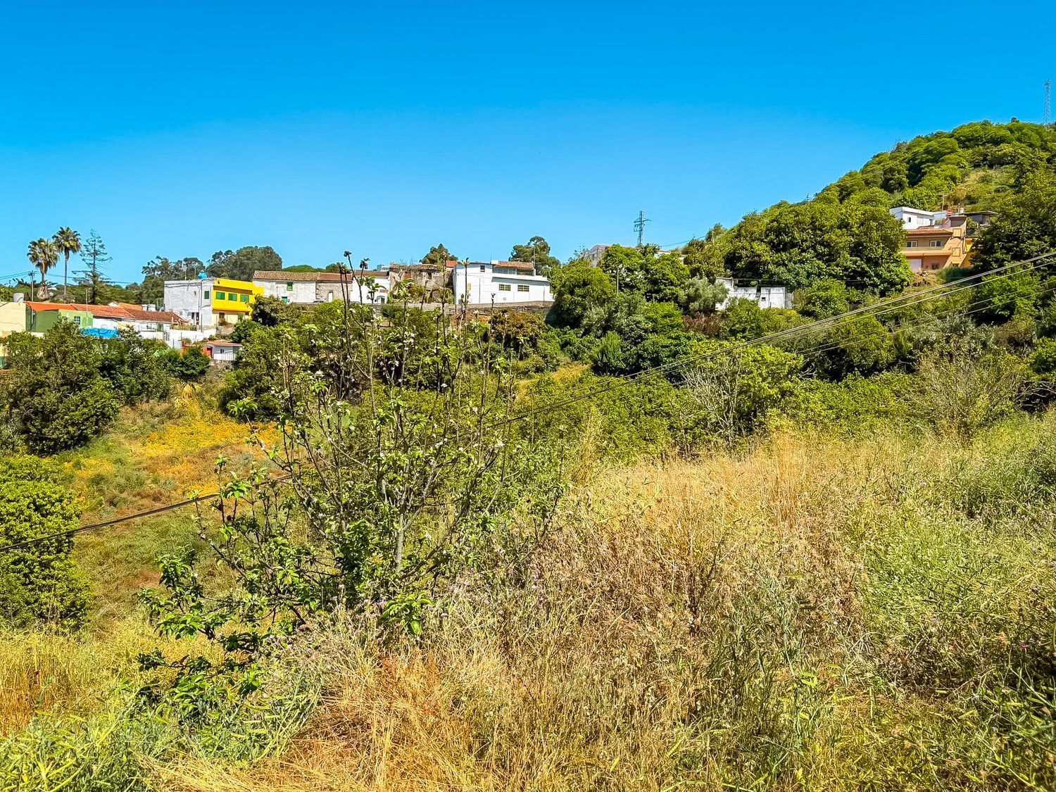 Fincas y solares-Venta-Valleseco-1904774-Foto-58