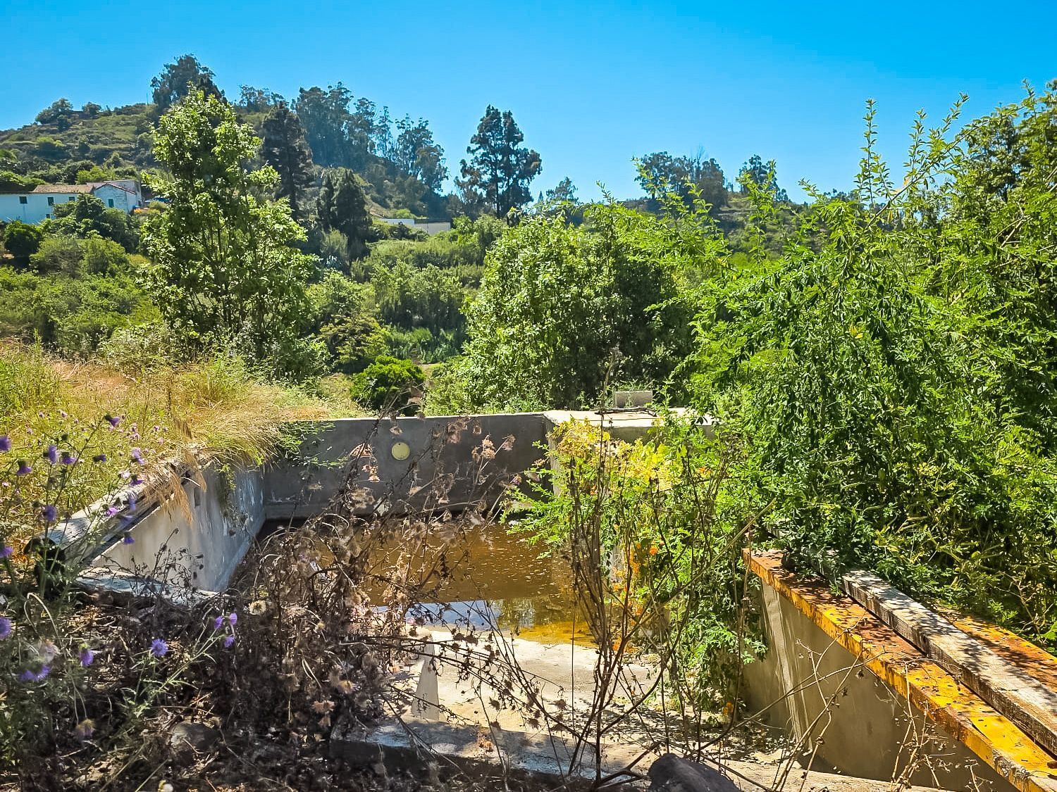 Fincas y solares-Venta-Valleseco-1904774-Foto-66