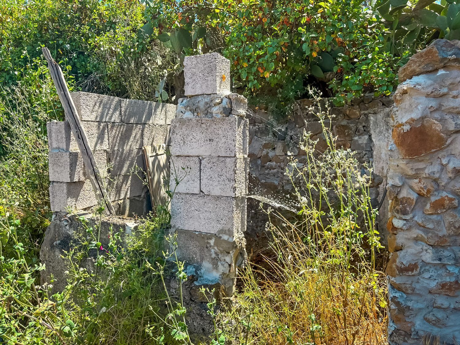 Fincas y solares-Venta-Valleseco-1904774-Foto-65