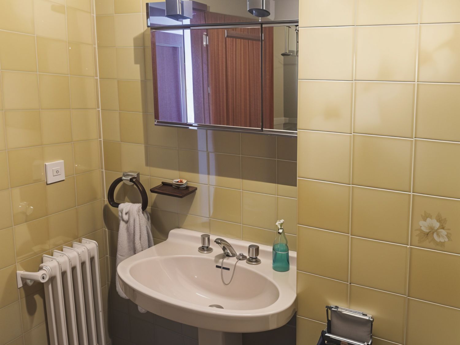 Pisos-Venta-Villablino-1731460-Foto-8