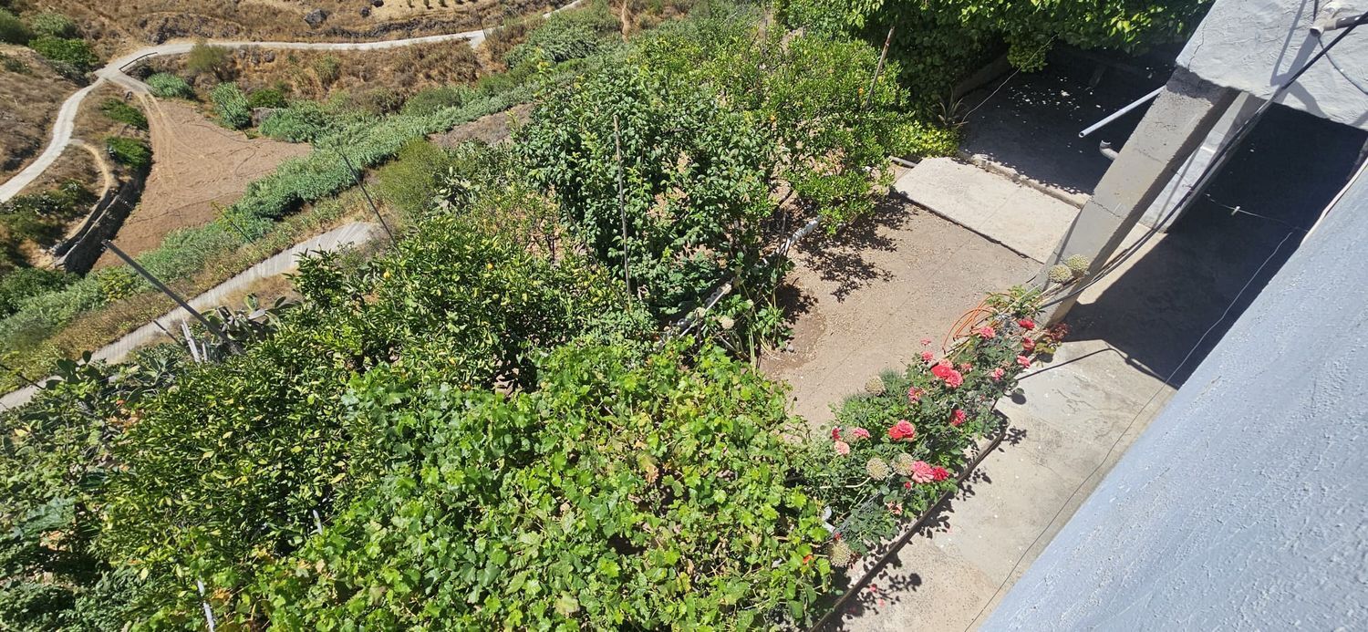 Casas o chalets-Venta-Artenara-1974872-Foto-10