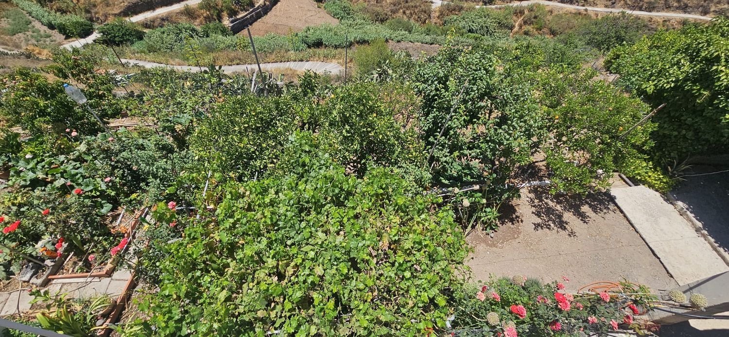 Casas o chalets-Venta-Artenara-1974872-Foto-11