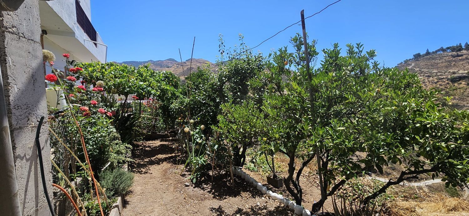 Casas o chalets-Venta-Artenara-1974872-Foto-25