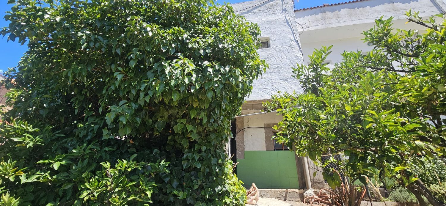 Casas o chalets-Venta-Artenara-1974872-Foto-28