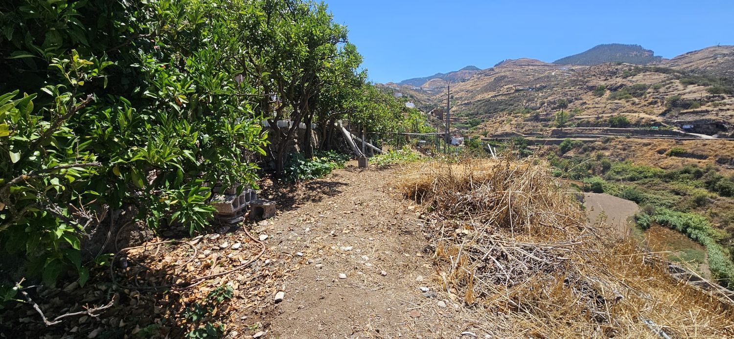 Casas o chalets-Venta-Artenara-1974872-Foto-29