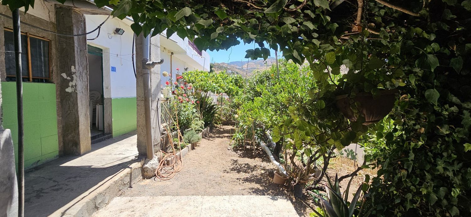 Casas o chalets-Venta-Artenara-1974872-Foto-30