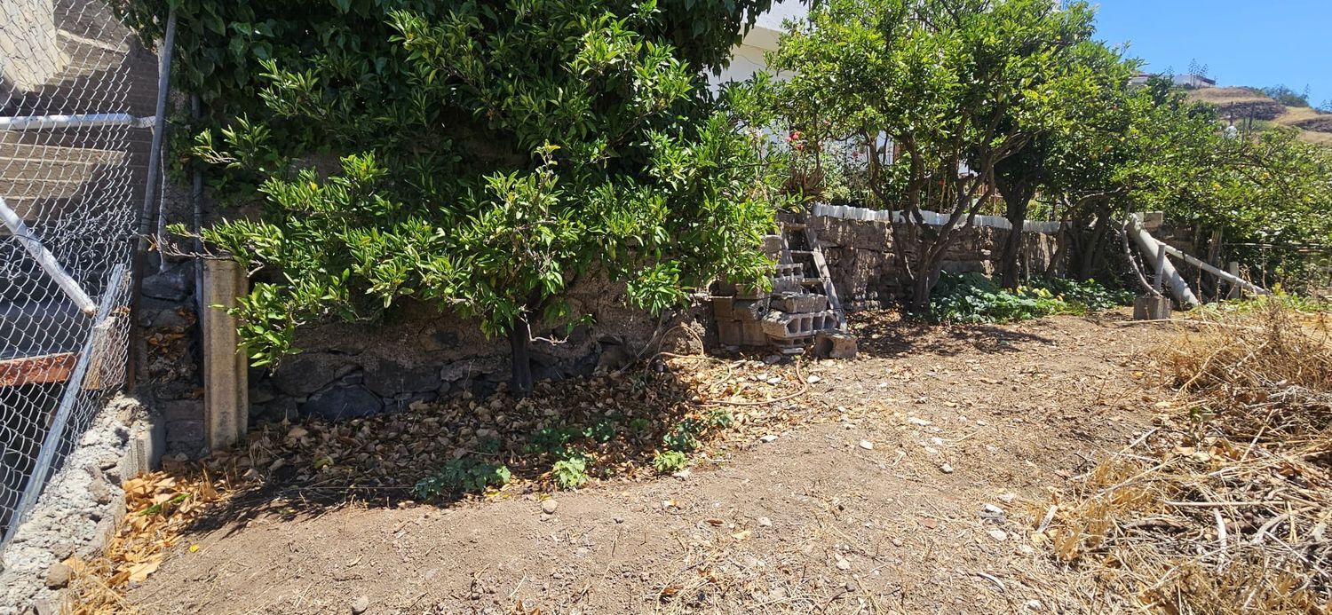 Casas o chalets-Venta-Artenara-1974872-Foto-32