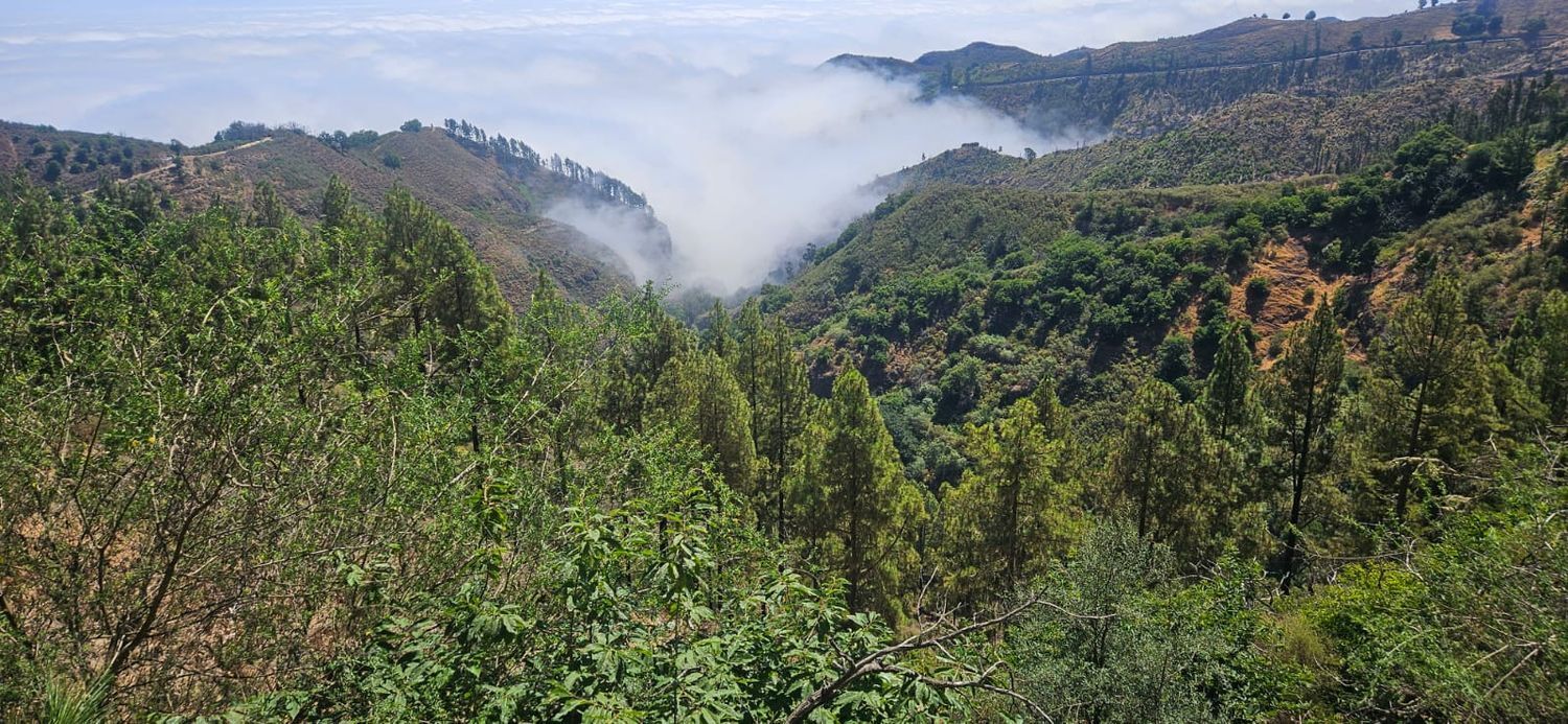 Casas o chalets-Venta-Artenara-1974872-Foto-31