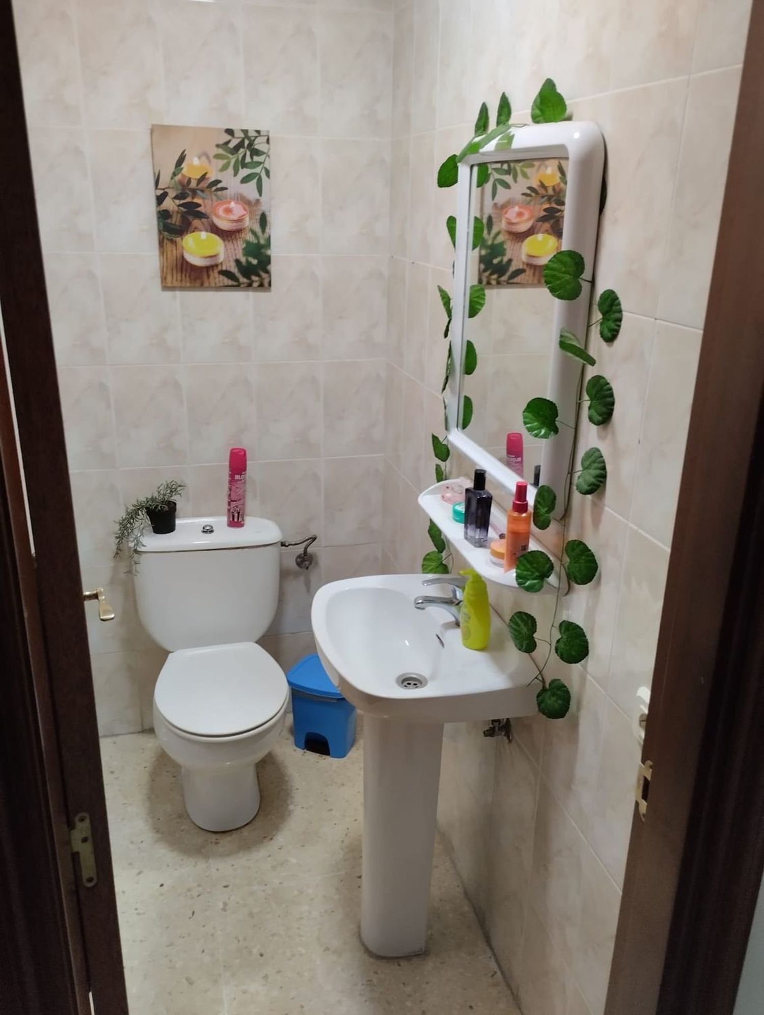 Pisos-Alquiler-Las Palmas de Gran Canaria-1974875-Foto-5