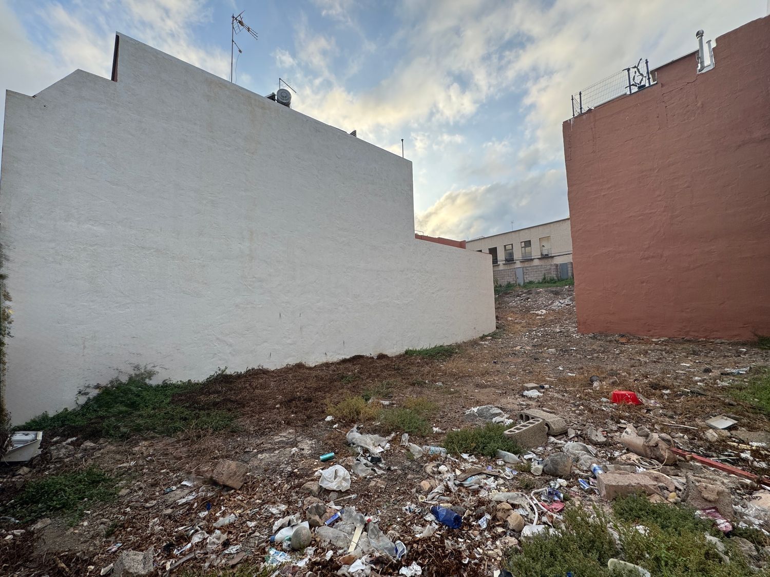 Fincas y solares-Venta-Ingenio-1974878-Foto-4