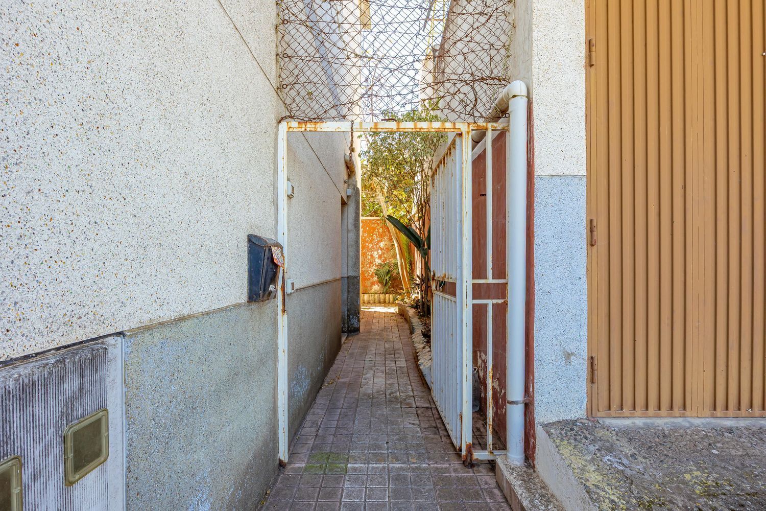 Casas o chalets-Venta-Santa BrÃ­gida-1767063-Foto-5