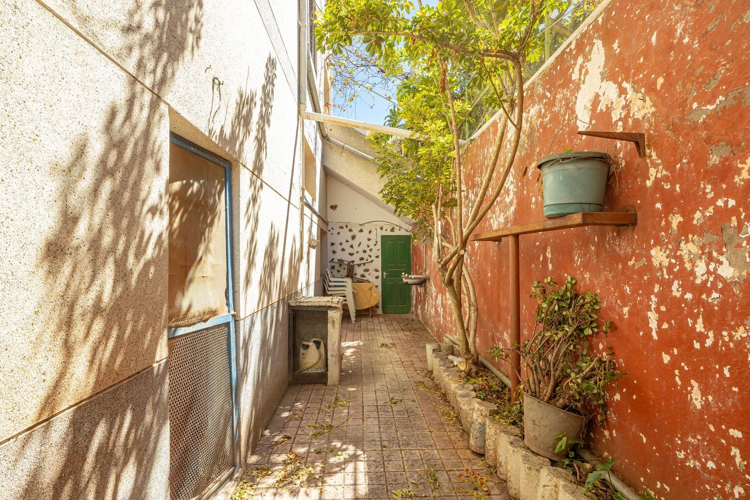 Casas o chalets-Venta-Santa BrÃ­gida-1767063-Foto-4