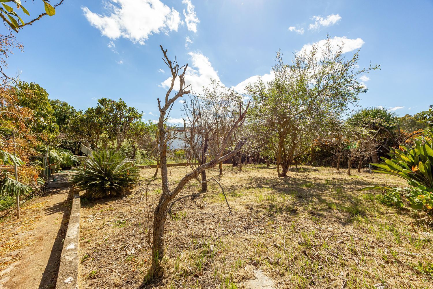 Casas o chalets-Venta-Santa BrÃ­gida-1767063-Foto-31