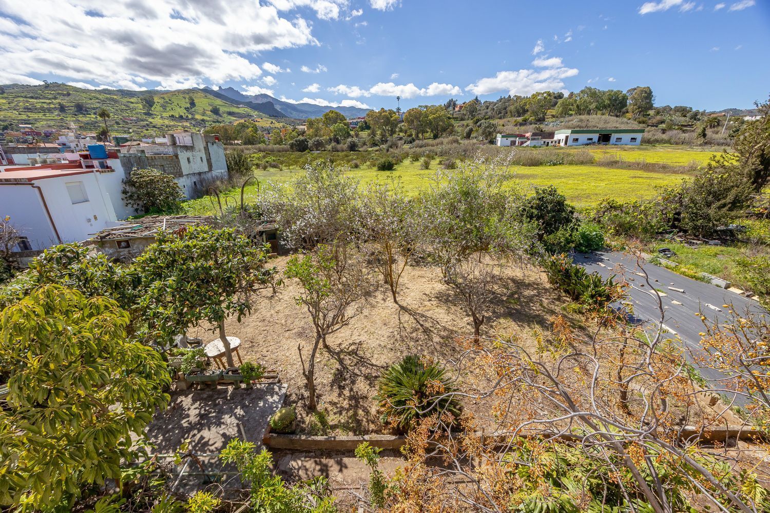 Casas o chalets-Venta-Santa BrÃ­gida-1767063-Foto-33