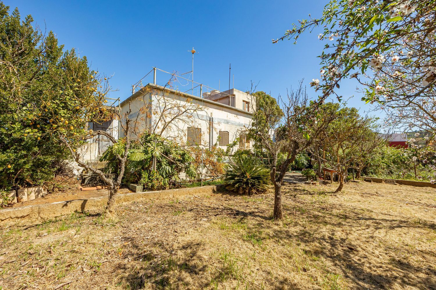 Casas o chalets-Venta-Santa BrÃ­gida-1767063-Foto-32