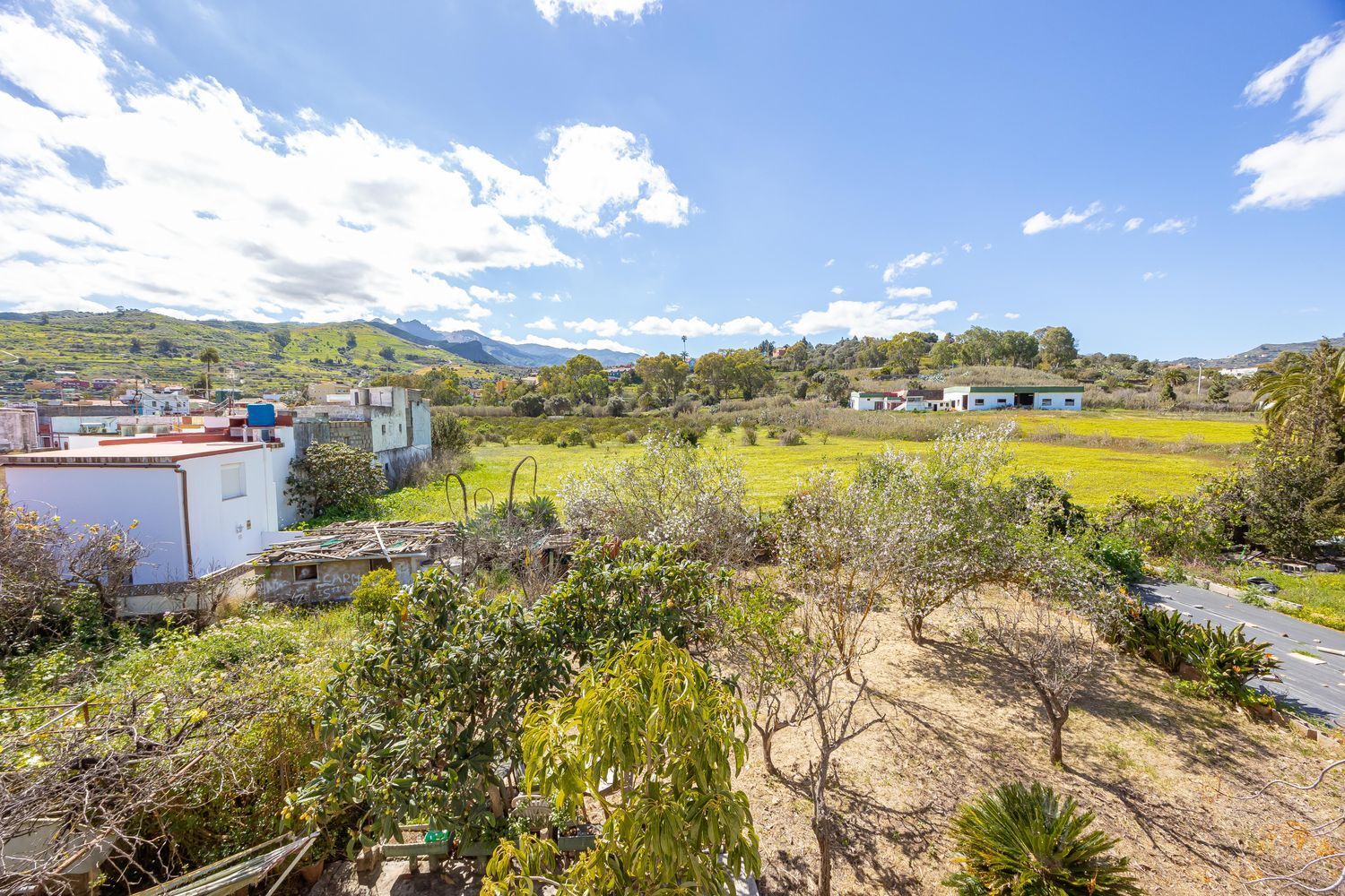 Casas o chalets-Venta-Santa BrÃ­gida-1767063-Foto-34