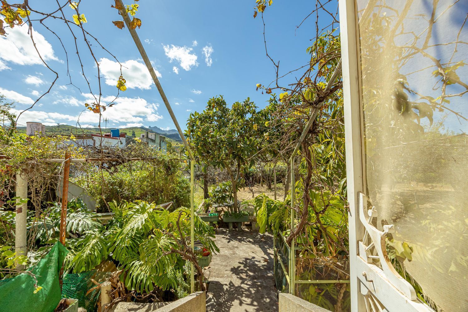 Casas o chalets-Venta-Santa BrÃ­gida-1767063-Foto-26