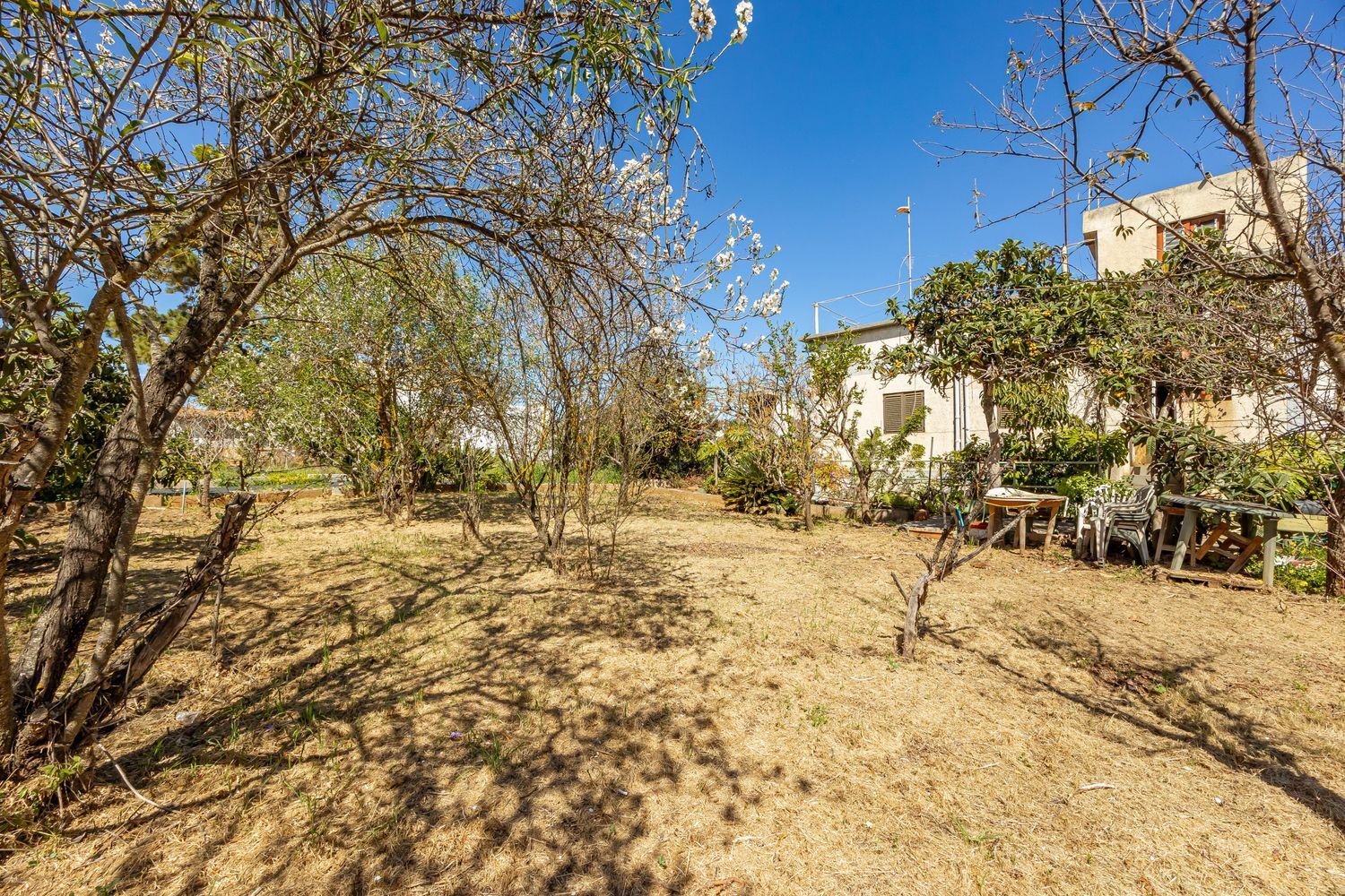 Casas o chalets-Venta-Santa BrÃ­gida-1767063-Foto-29