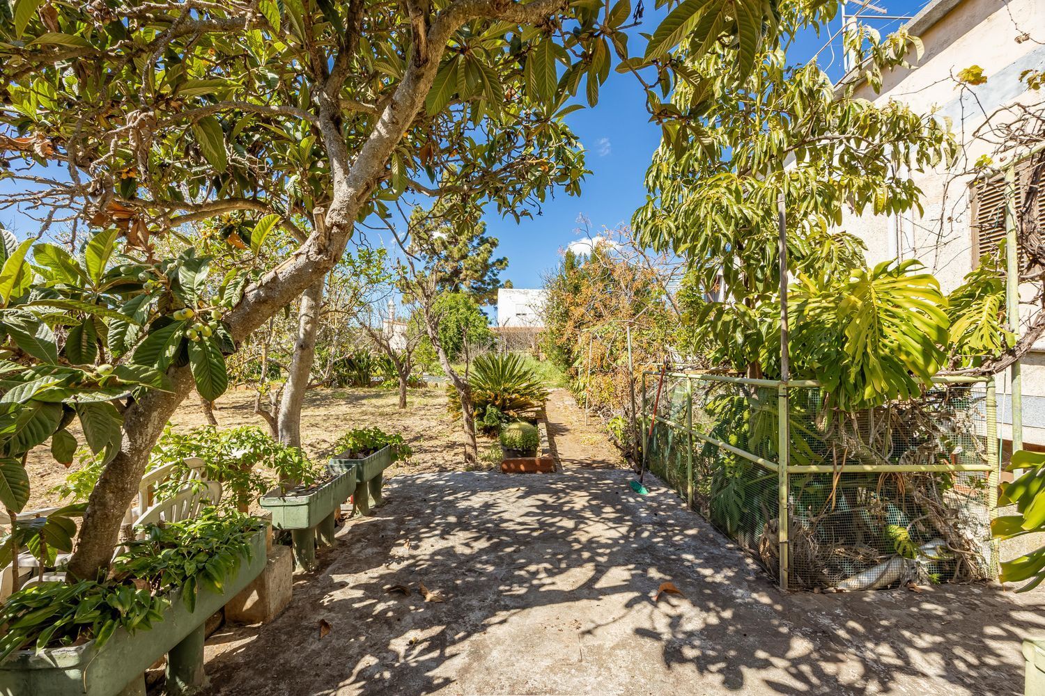 Casas o chalets-Venta-Santa BrÃ­gida-1767063-Foto-27