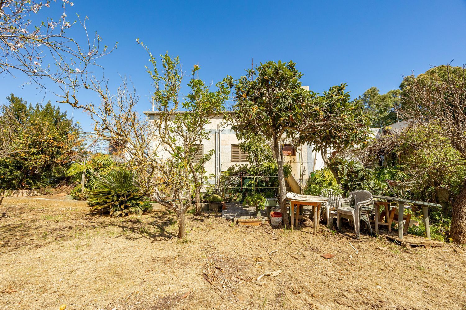 Casas o chalets-Venta-Santa BrÃ­gida-1767063-Foto-30