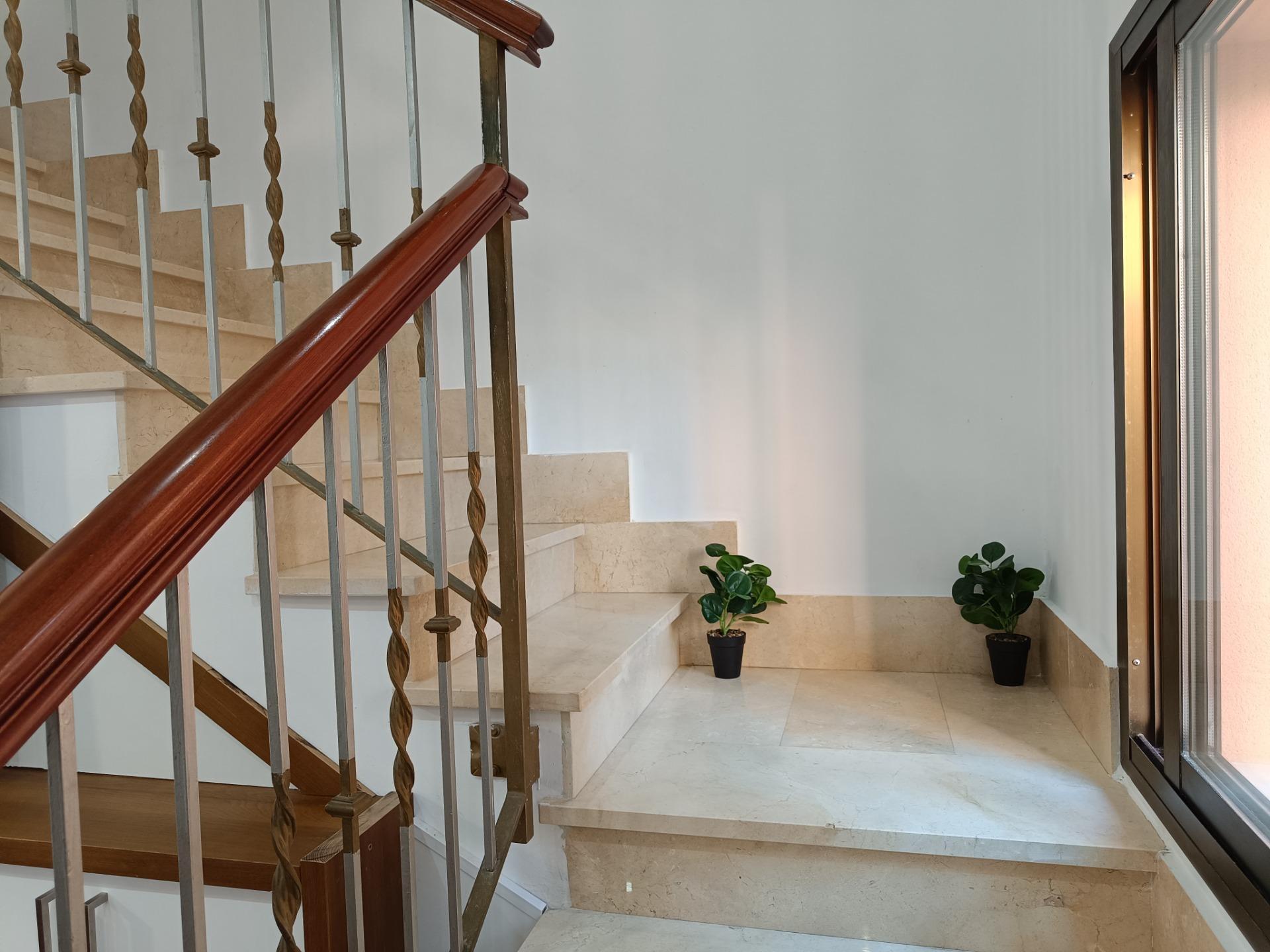 Casas o chalets-Venta-Manacor-1748233-Foto-16