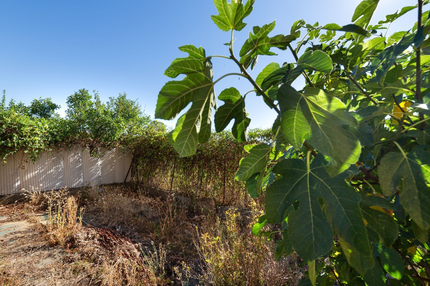 Casas o chalets-Venta-Benavente-1398045-Foto-38