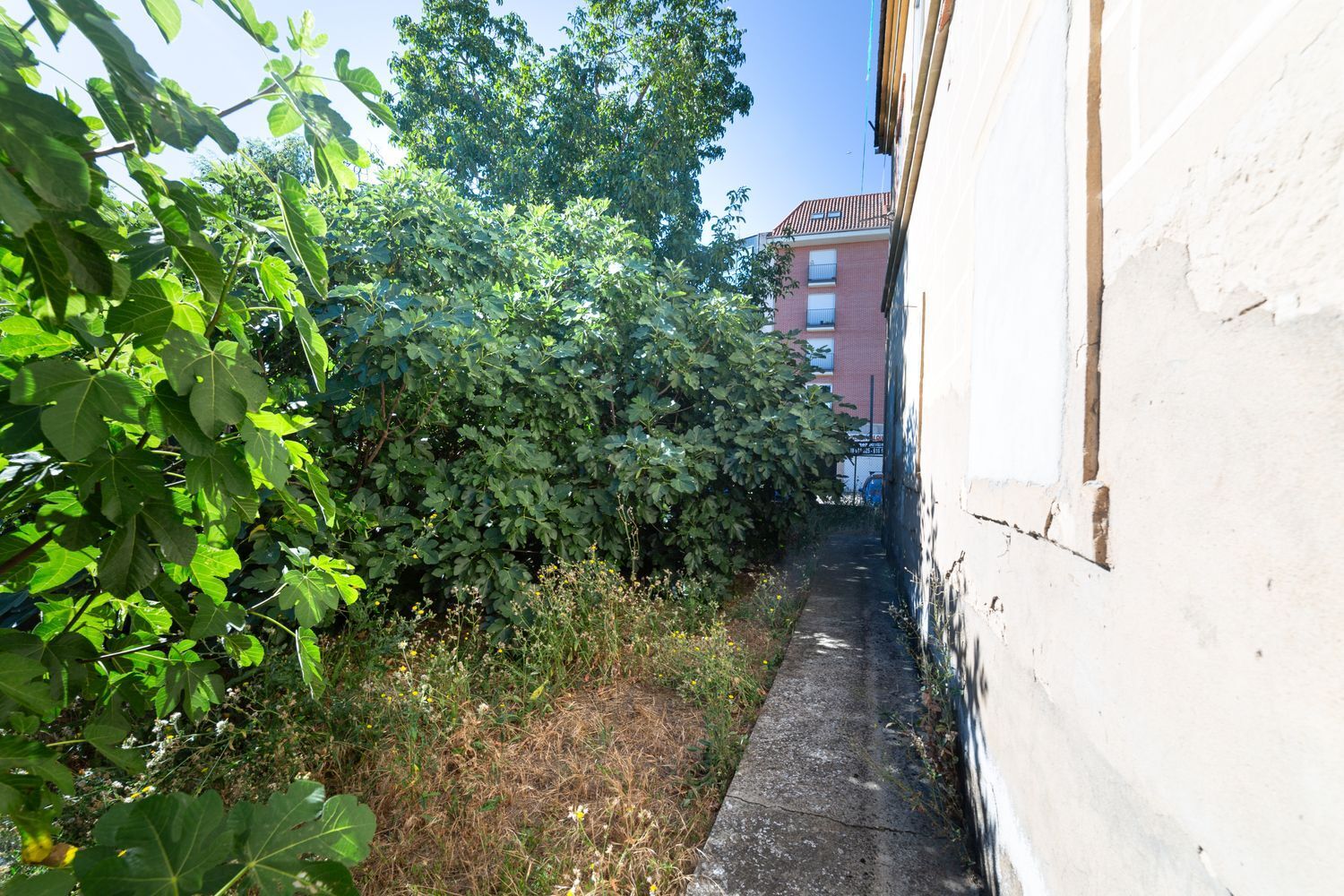 Casas o chalets-Venta-Benavente-1398045-Foto-40