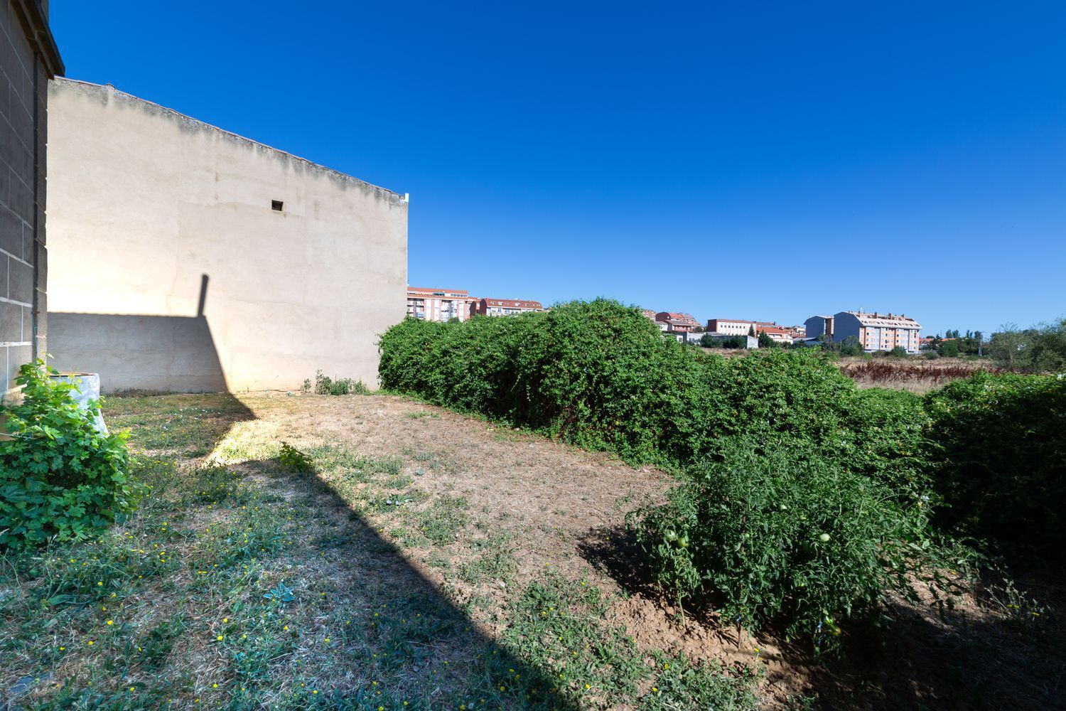 Casas o chalets-Venta-Benavente-1398045-Foto-44