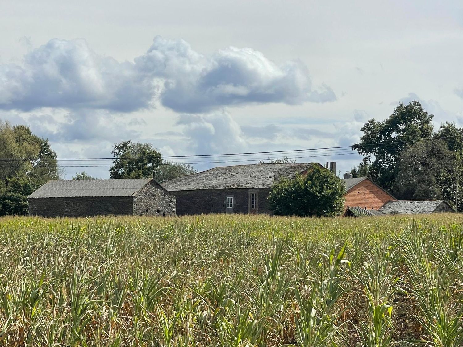 Casas o chalets-Venta-Cospeito-1845999-Foto-3