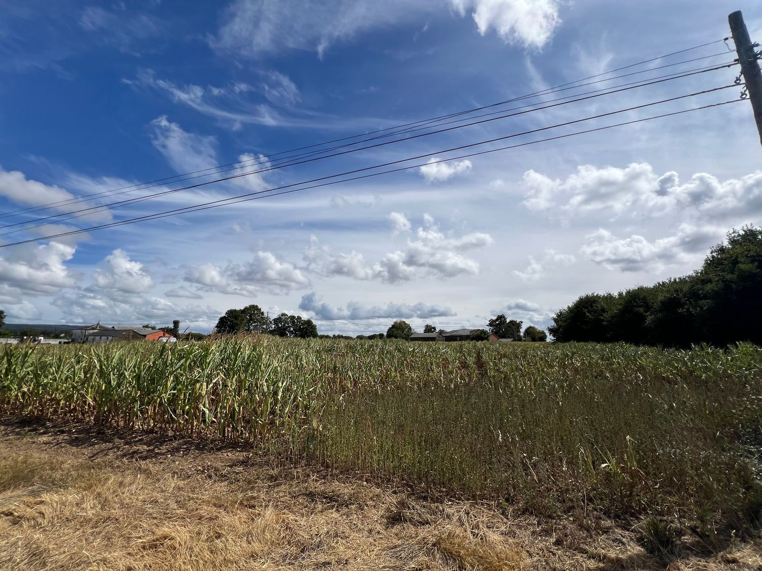 Casas o chalets-Venta-Cospeito-1845999-Foto-7