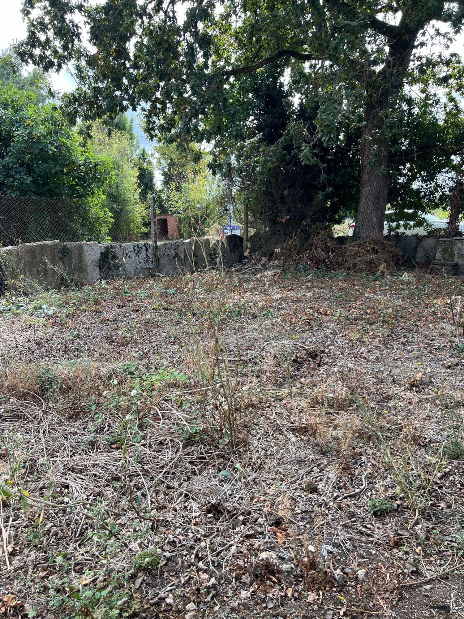 Casas o chalets-Venta-Cospeito-1845999-Foto-9