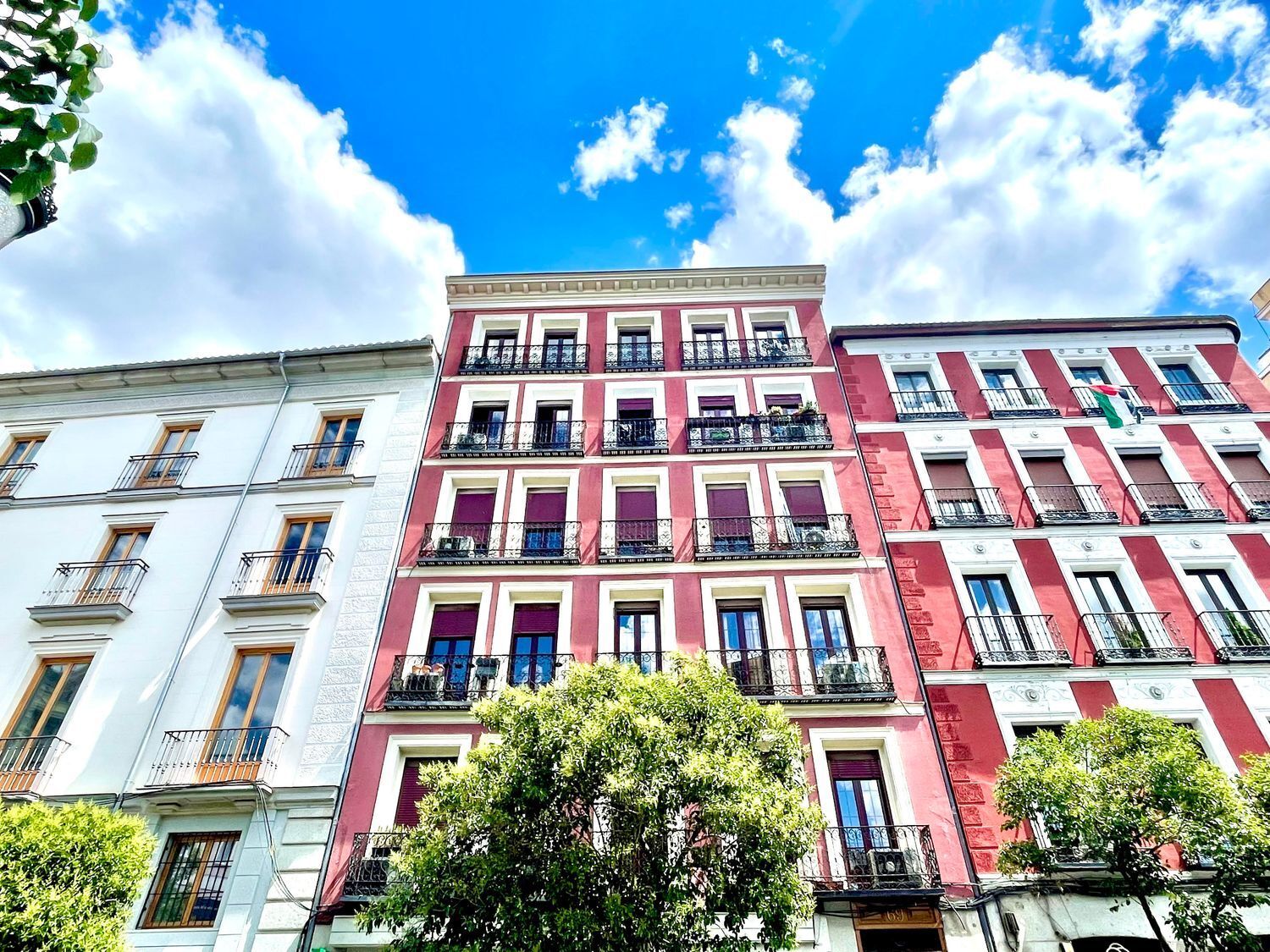 Pisos-Alquiler-Madrid-668127-Foto-16