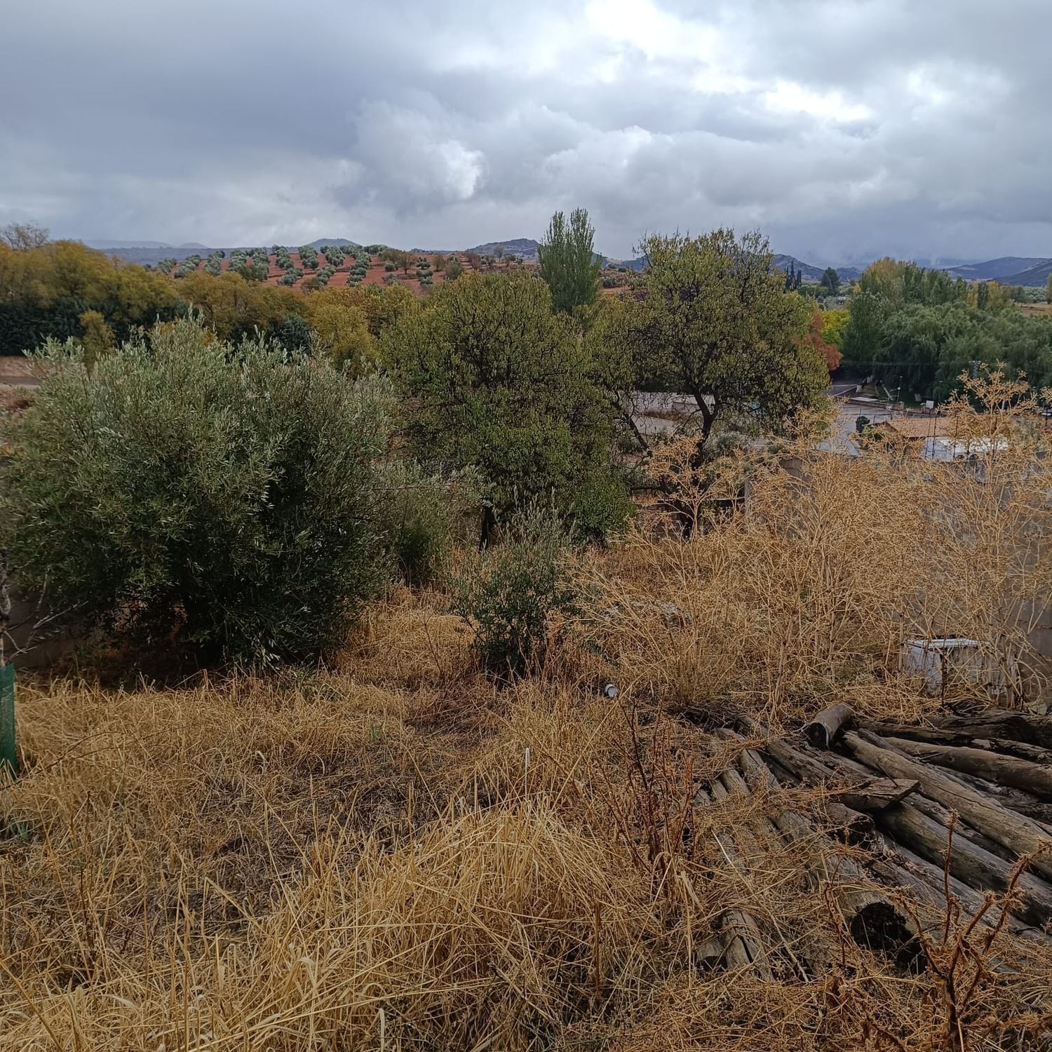 Casas o chalets-Venta-Villanueva de la Fuente-1745070-Foto-33