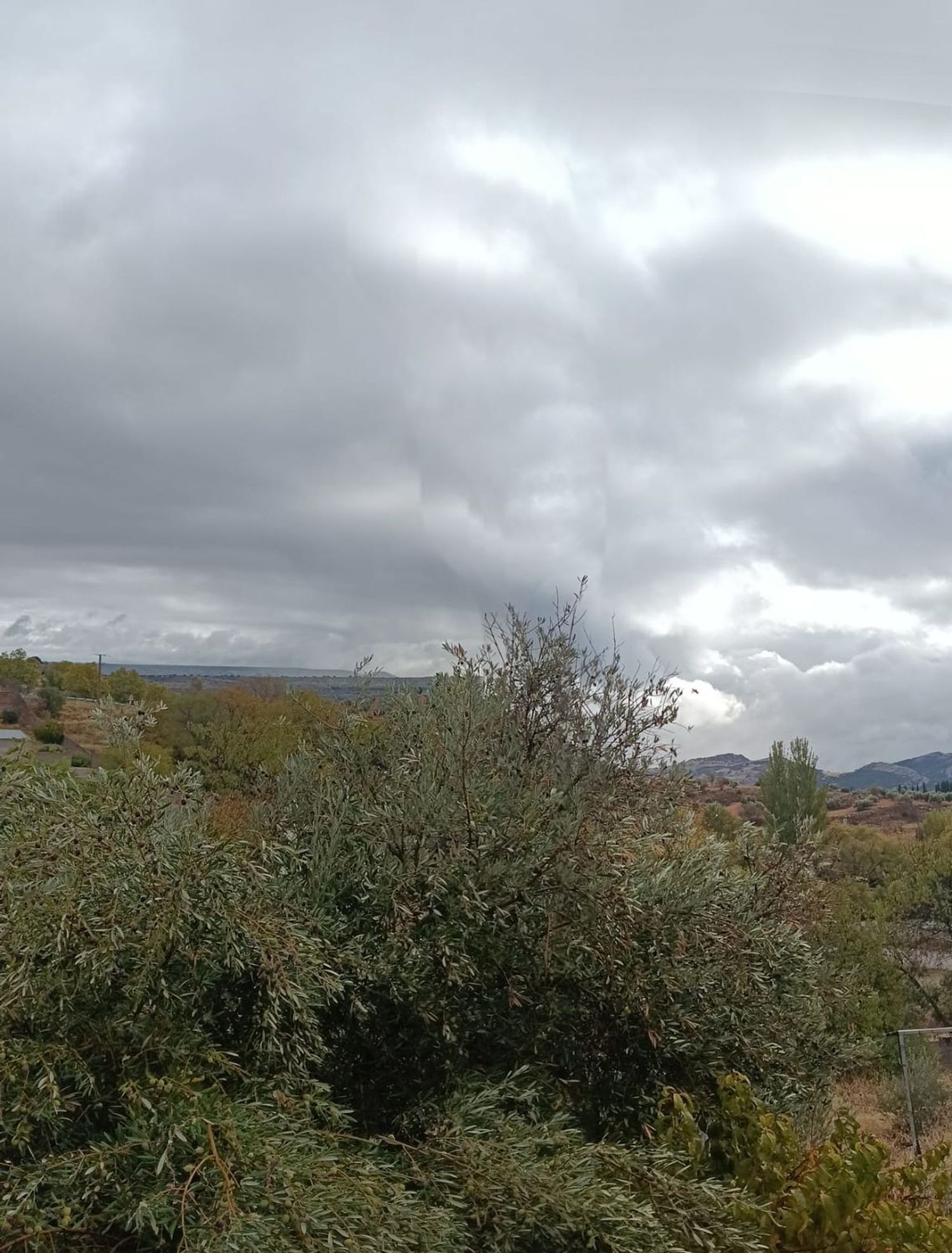 Casas o chalets-Venta-Villanueva de la Fuente-1745070-Foto-39