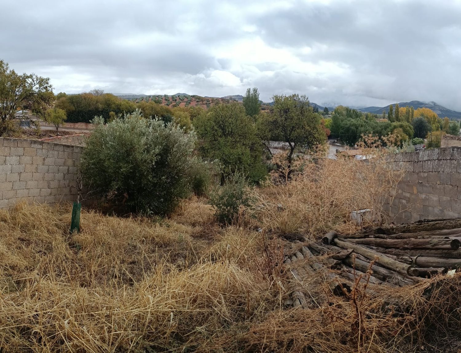 Casas o chalets-Venta-Villanueva de la Fuente-1745070-Foto-42