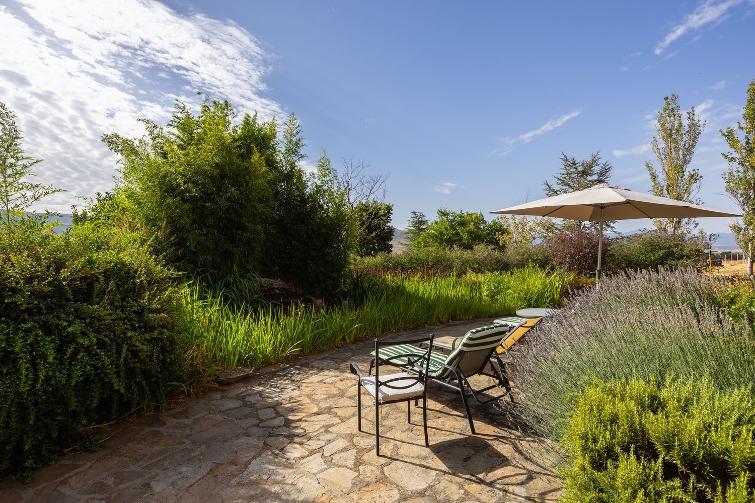 Casas o chalets-Venta-Torrecaballeros-1834097-Foto-10