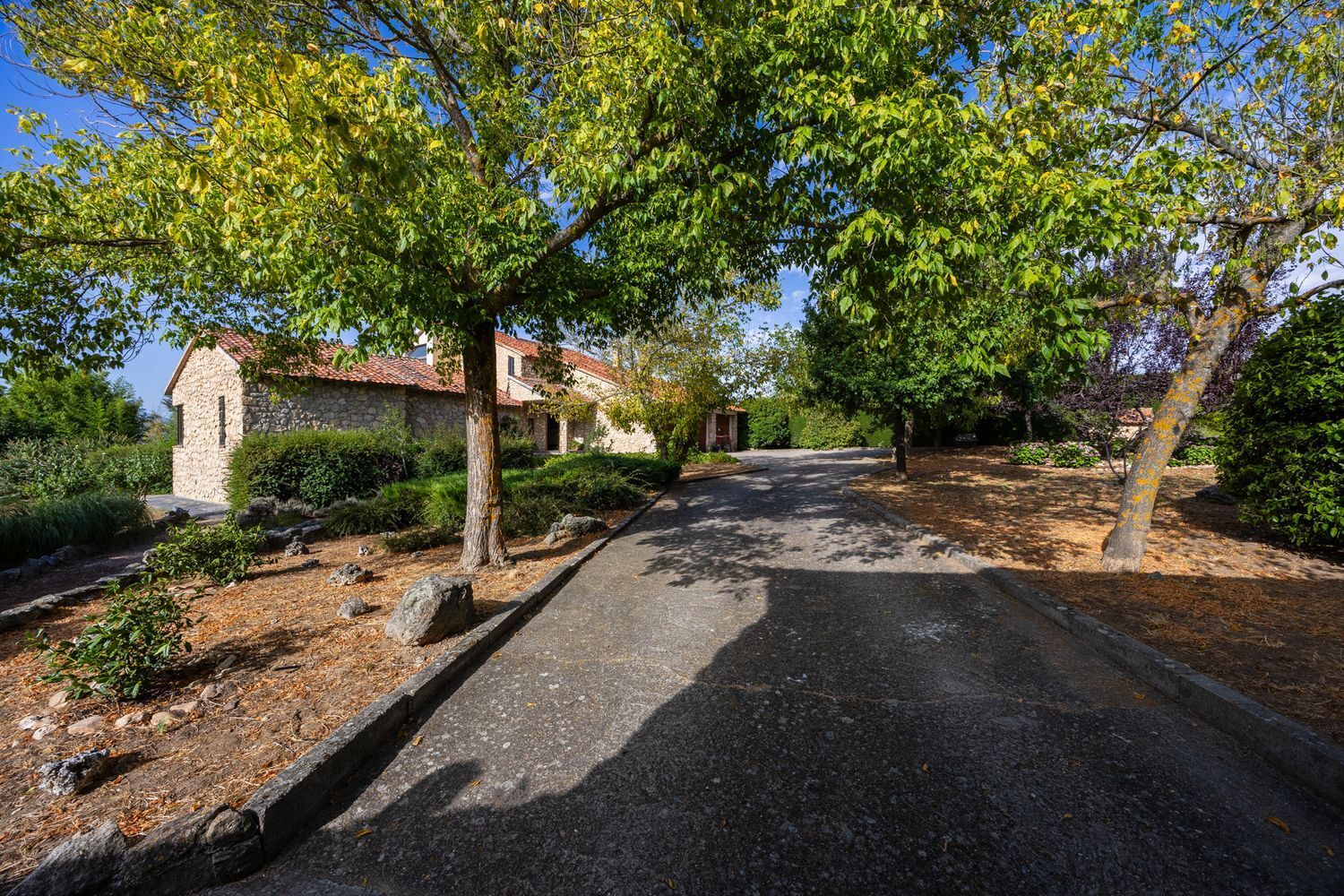 Casas o chalets-Venta-Torrecaballeros-1834097-Foto-12